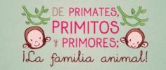 De primates, primitos y primores… ¡La familia animal!