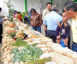 Sistema milpa, riqueza ancestral comunitaria